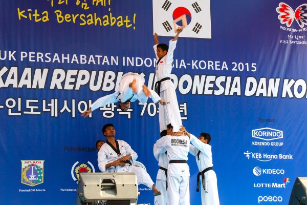 2015 Korea-Indonesia 70th Independence Day_10